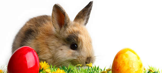 Alles rund um Ostern
