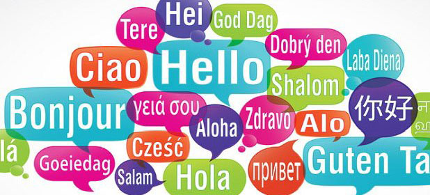 Die TaschenDolmetscher insight7